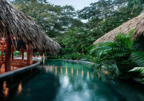 the SPACE Jungle Oasis
